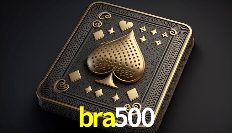 Experiência VIP bra500