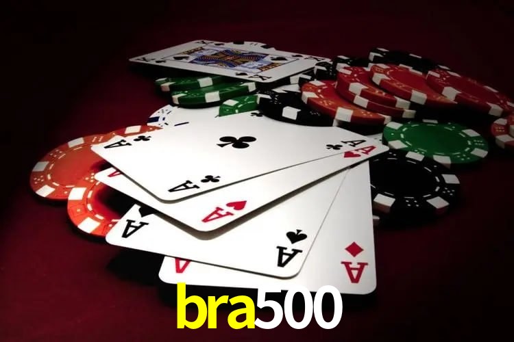 Programa VIP bra500